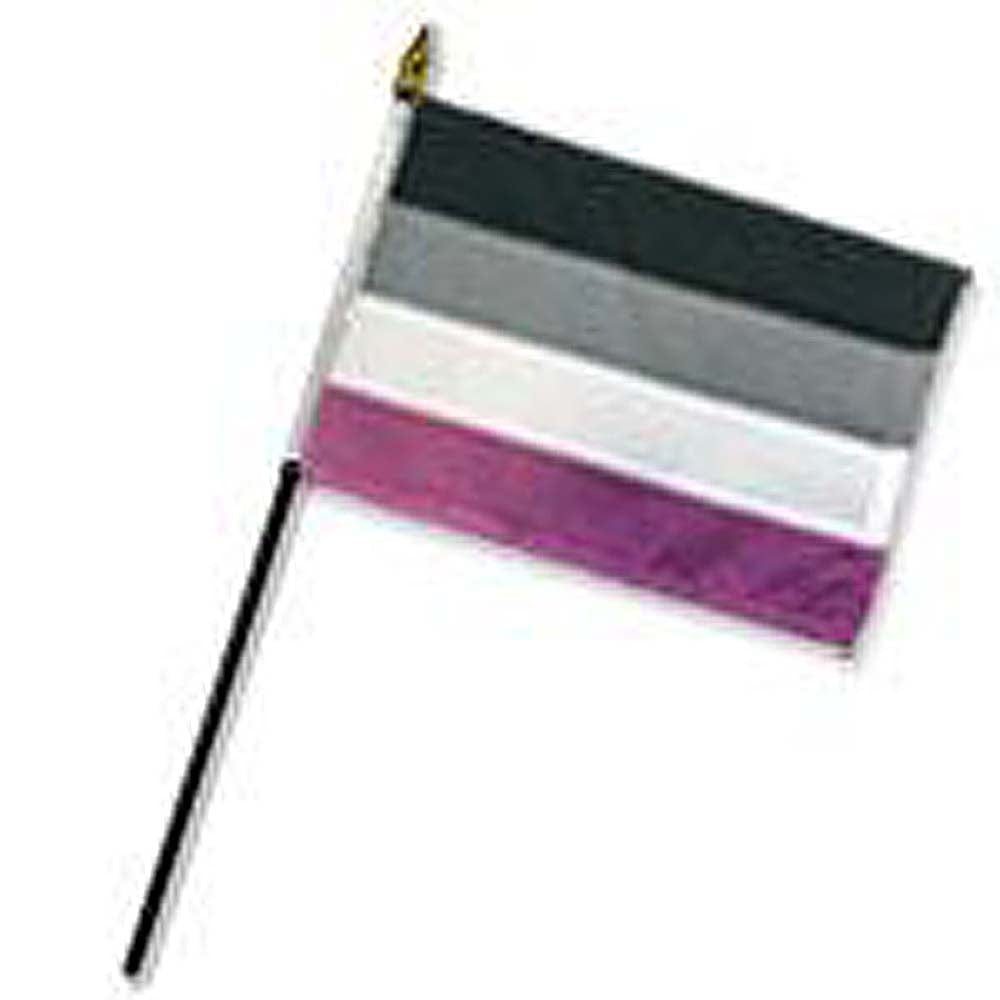 4x6 Asexual Pride Stick Flag by Flags Importer - Ideal for Displays