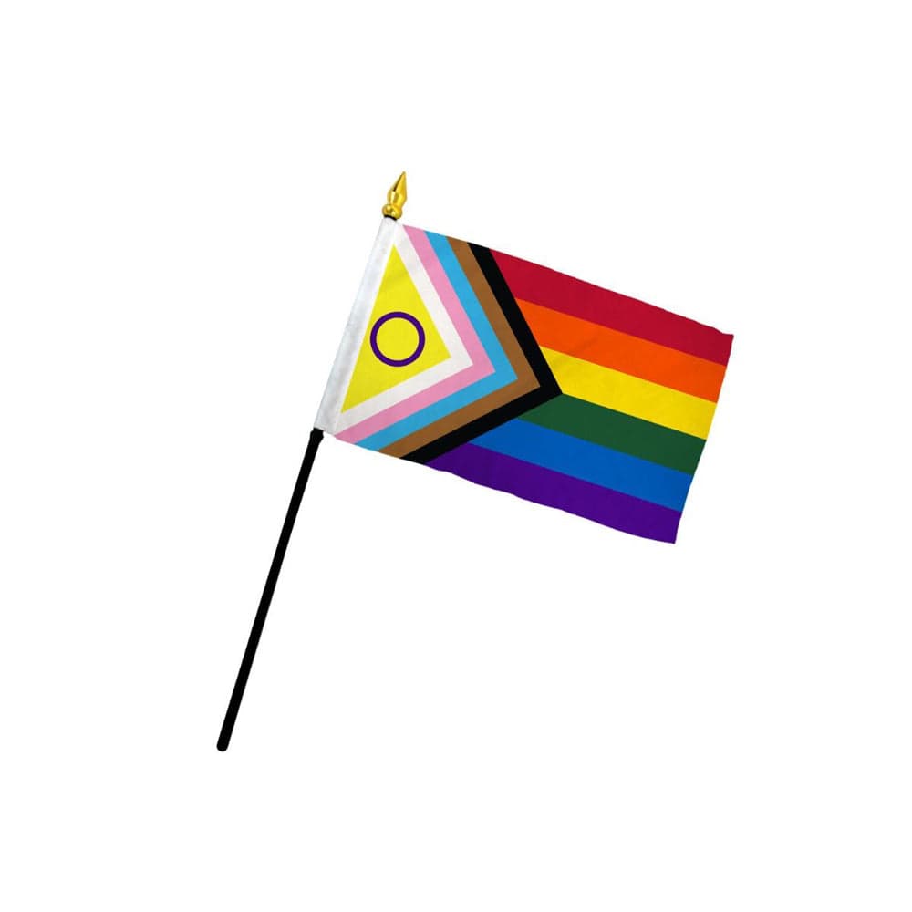 4 x 6 Inclusive Pride Stick Flag by Flags Importer - High - Quality Polyester