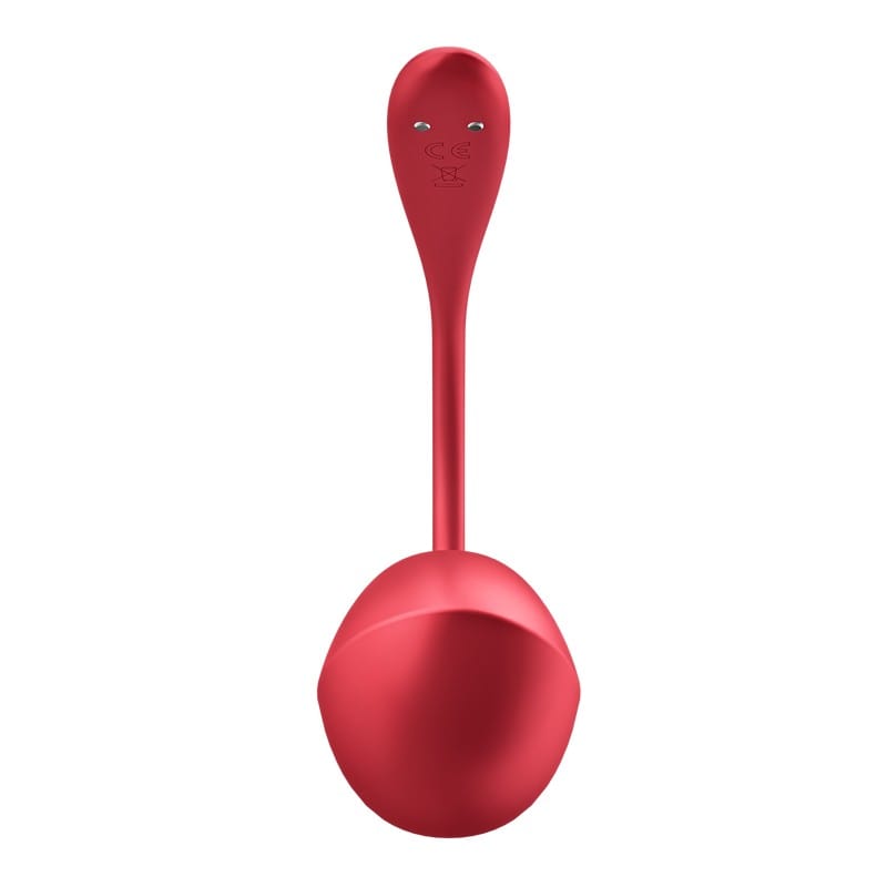 Satisfyer Shiny Petal Luxury Wearable G-Spot Stimulating Vibrator