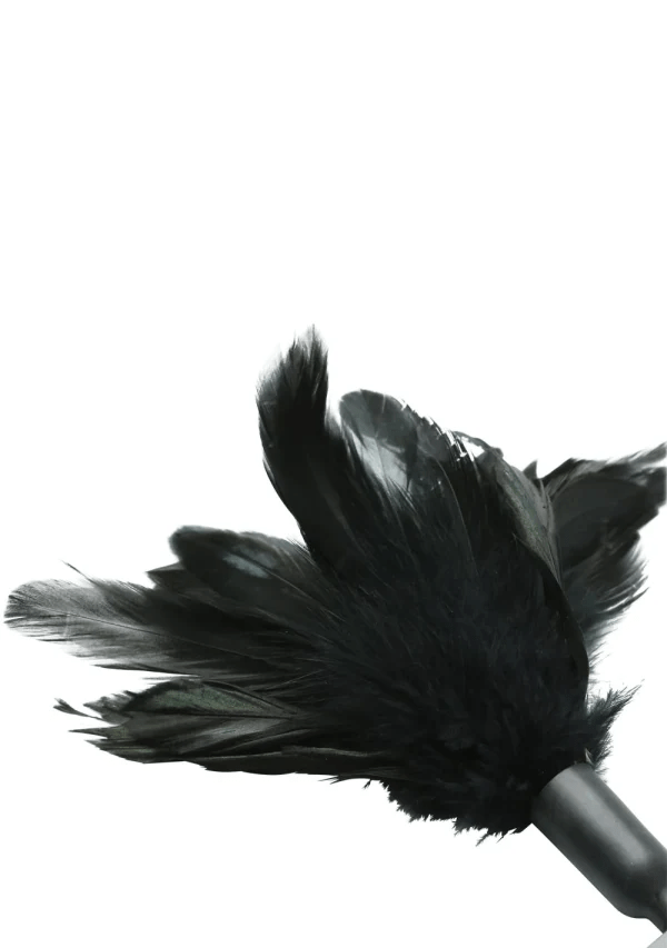 Sportsheets Intimate Starburst Tickler with Vibrant Rooster Feathers