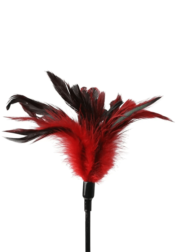Sportsheets Versatile Feather and Crop Slapper for BDSM Play