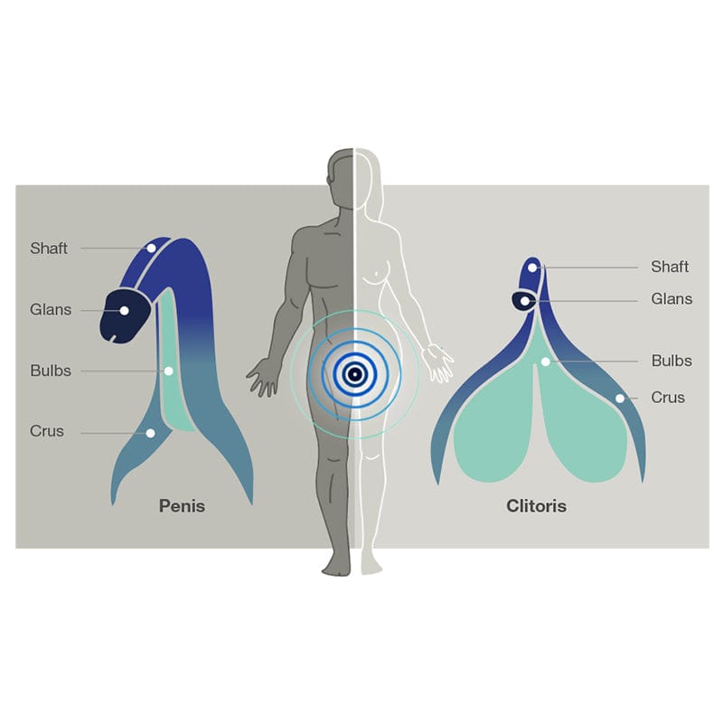 Arcwave Ion Male Stimulating Stroker with Pleasure Air Technology