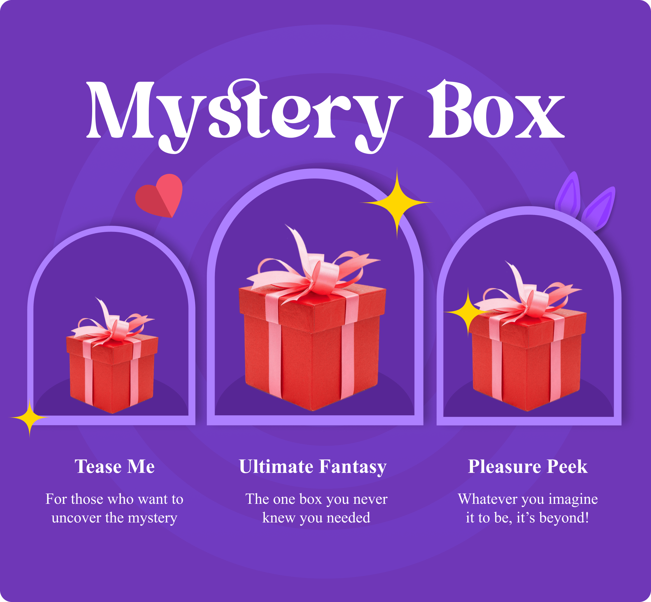 Adult Erotic Pleasure Mystery Box from XOXTOYS
